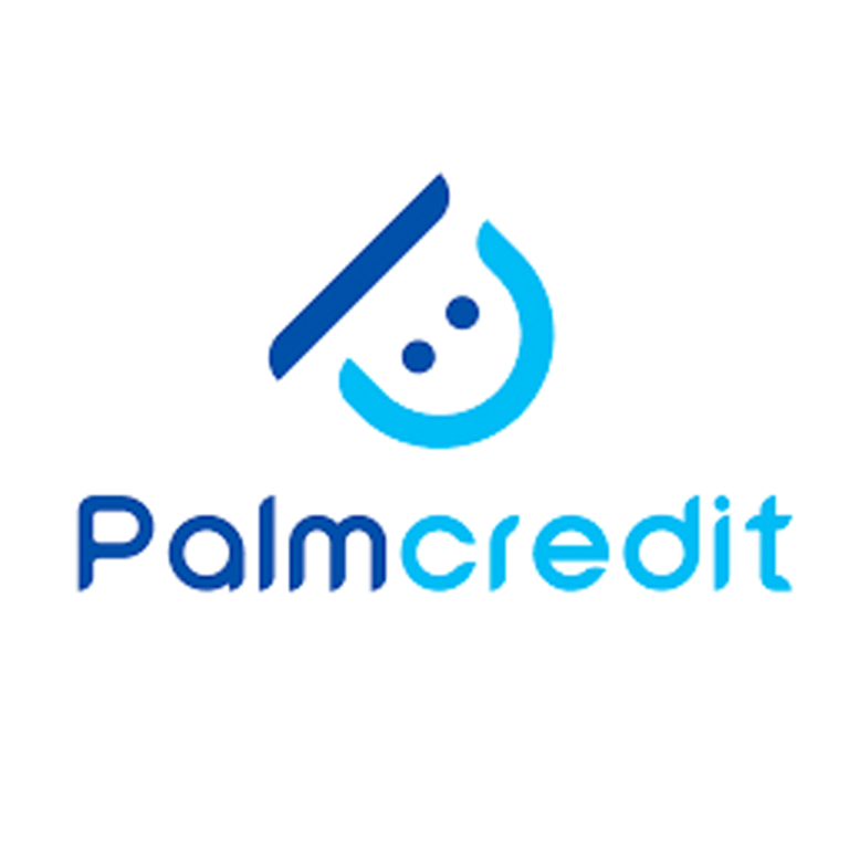 How to Check Loan Account Balance on PalmCredit App