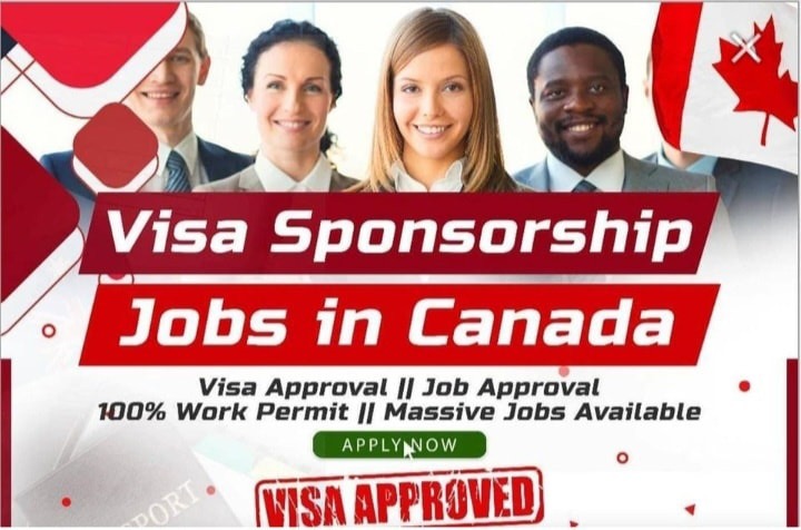 Dishwasher Jobs in Canada With Visa Sponsorship: Full Guide for New Immigrants