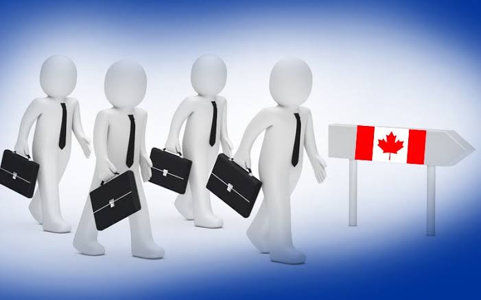 House-Sitting Jobs in Canada (Complete Guide) for Foreign Applicants