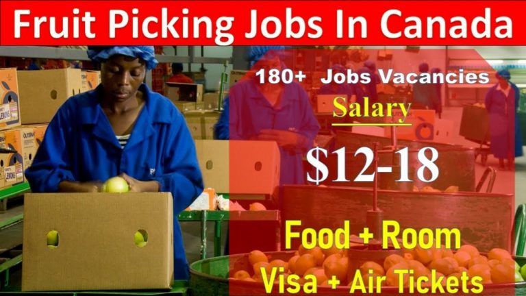 Fruit Picker Jobs in Canada with Visa Sponsorship for New Immigrants