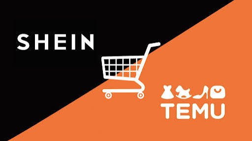 South Africa moves to tighten payment rules for Temu and Shein shoppers