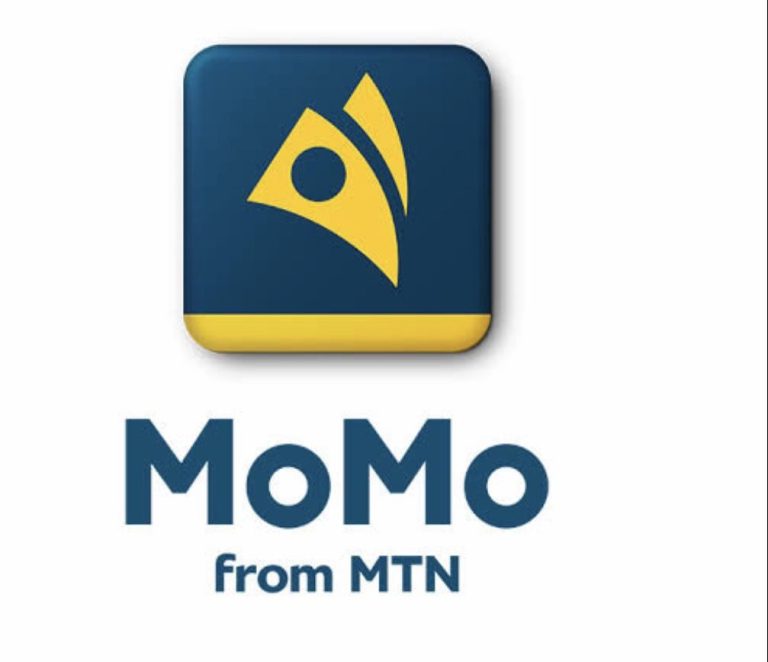 MTN MoMo App Growth Guide: How to Maximise Its Features