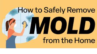 Simple Step-by-Step Guide to Removing and Preventing Mold at Home